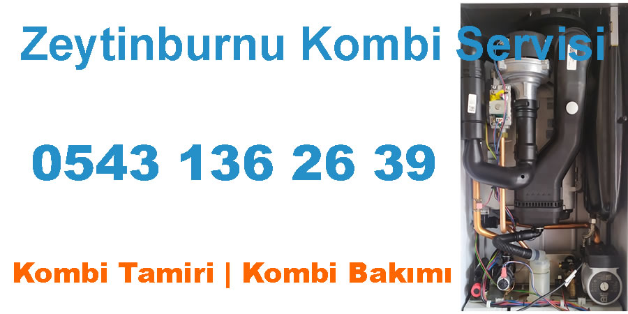 Zeytinburnu Kombi Tamiri Servisi